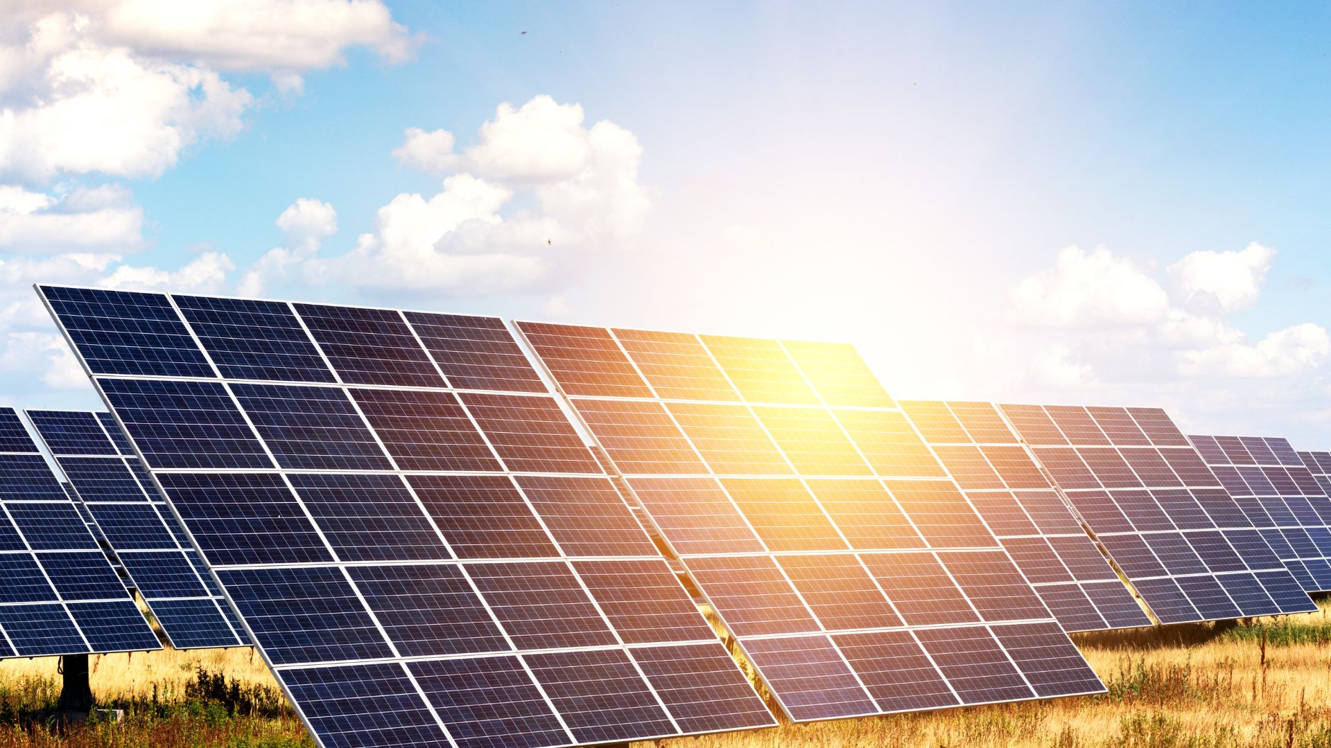 Solar Panel in sunshine